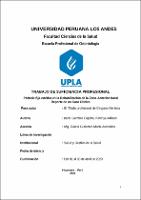 Prótesis Fija Estética En La Rehabilitación De La Zona Anterior Bucal ...